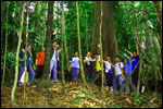 Take a leisurely walk along the natural trails and feast your eyes on the beauty of tropical rainforest.