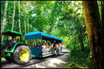 All aboard on this all time favorite trailer ride for an enjoyable discovery tour around the Resort.