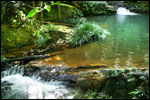Enjoy a refreshing bath in the crystal clear and cool natural waterfall right in the middle of the rainforests.