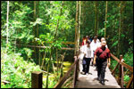 Take a leisure walk and get maximum connection with nature and jungle along the 900m Belian wooden walkway. 