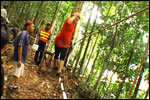 Low Ropes Course - Multi-Vine Traverse