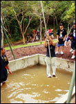 Dare Yourself Tarzan Swing
