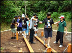 Swinging board